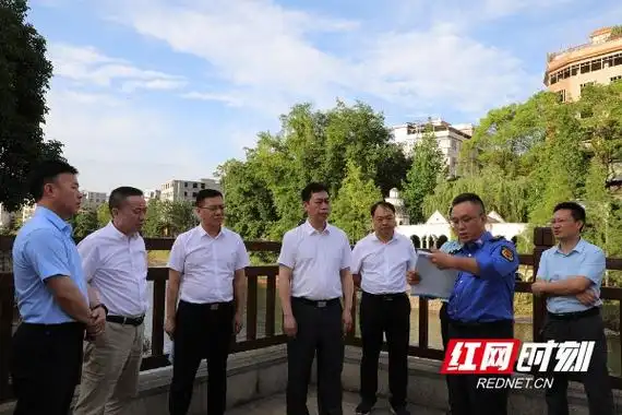 新田:黄永英带队调研生态环保工作并开展巡河检查