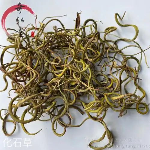 中药材化石草化石草的价格