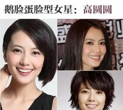 高圆圆被人称作美人胚子,长相如她的名字,高圆圆的脸型是长而宽圆圆的