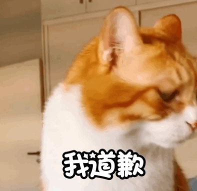 萌宠gif猫星人gif我道歉gif我错了gif呆萌gif可爱gif