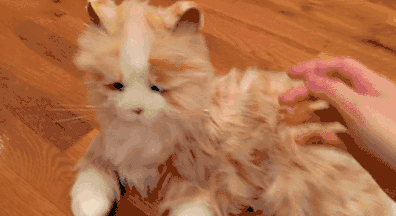 机器猫立刻对碰触做出了反应,发出喵呜声并且点了点头.