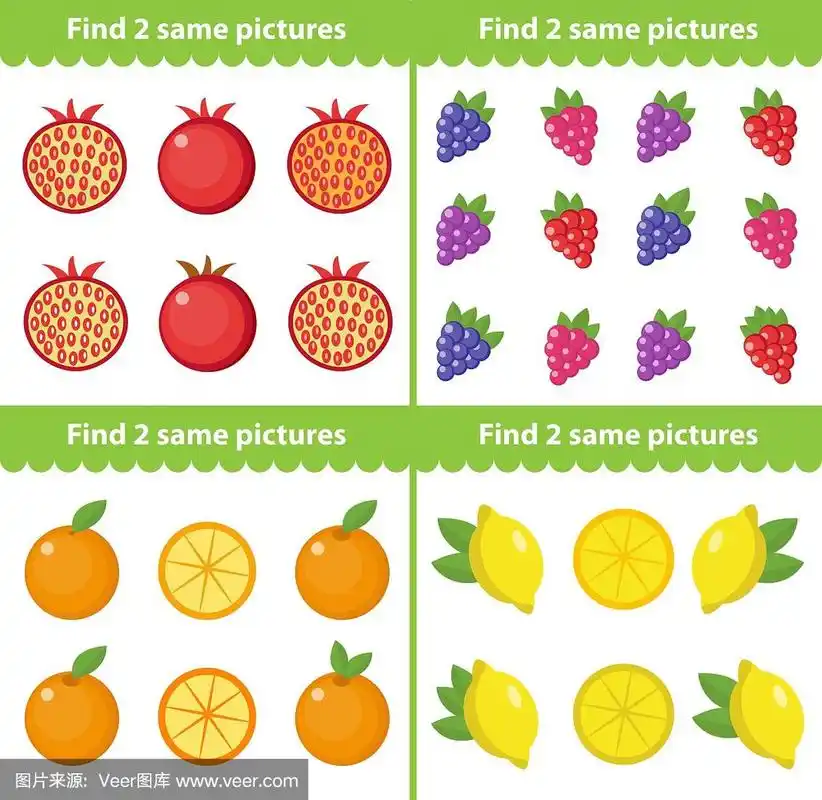 找两张相同的图片.矢量插图.