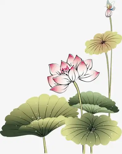 关键词 : 手绘画,荷花,荷叶,矢量图,装饰,矢量装饰