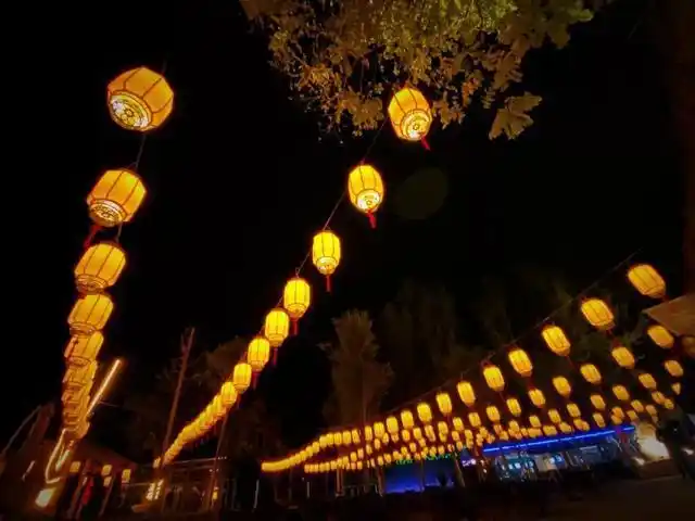 大海 走近了七彩斑斓的世界 一盏灯,一颗心 一串灯,满天星 灯火如昼