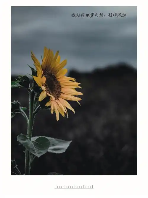 手写文案  #朋友圈文案  #今日文案94我站在绝望之巅,凝视深渊94