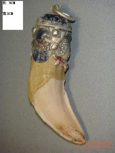 虎牙?辨假真老别