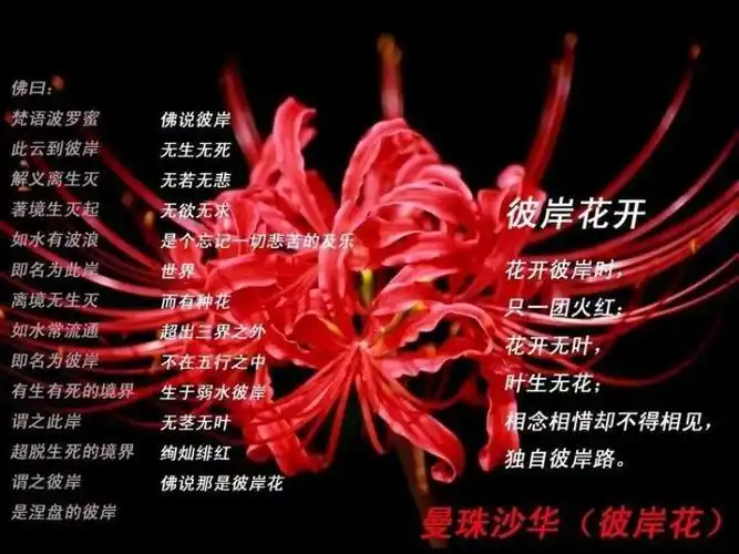 长留山的南瓜创建于4月前 想要添加评论?先登录或者注册