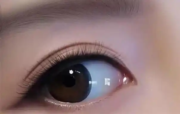 天生是优我颜值排名(颜值高的人有哪几个特征)_百科-8s新商盟