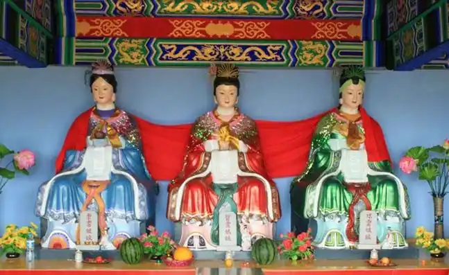 凤蝶选择什么树产卵?