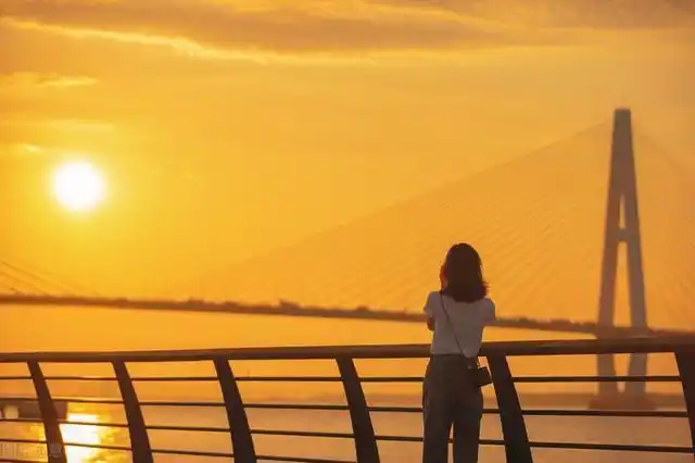 对不起,我不再喜欢你了