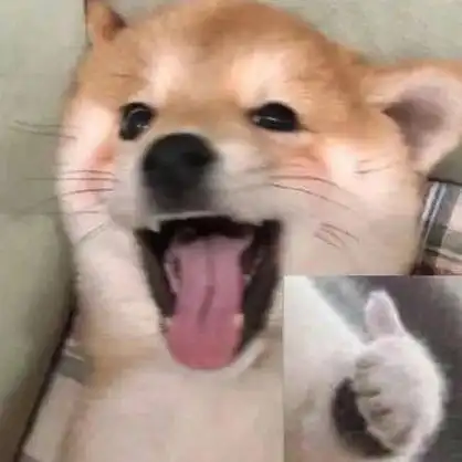 动物版沙雕表情包!