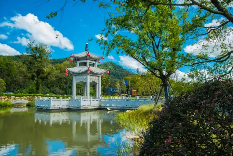 如诗如画看看摄影师镜头下的将乐常口美丽乡村风光