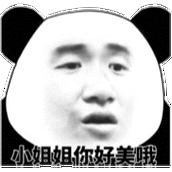 小姐姐你好美哦(熊猫头表情包)_小姐姐_熊猫_你好表情