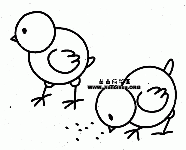 小鸡吃米幼儿园简笔画