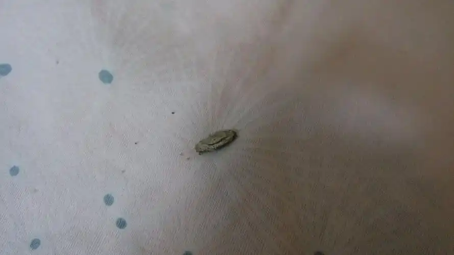 另外被子也是经常晾洗的.