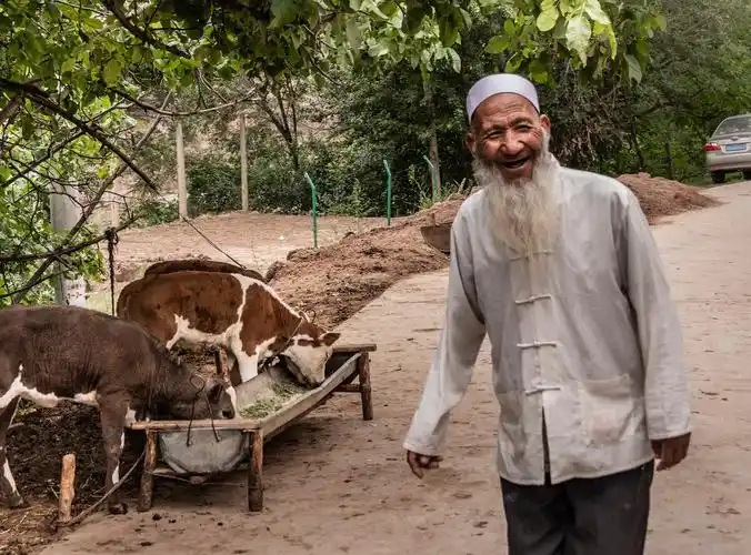 撒拉族老人的微笑