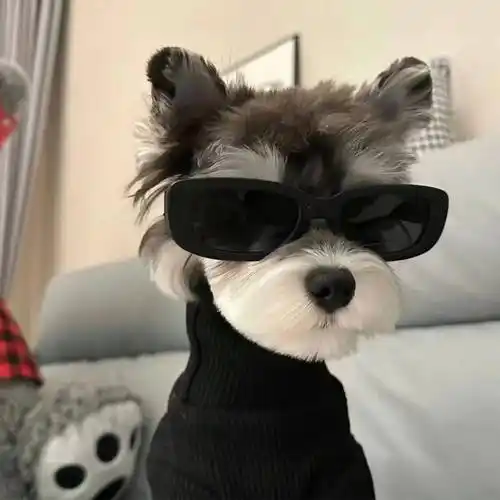 头像| 高级感ins风头像_少年_太阳_风华