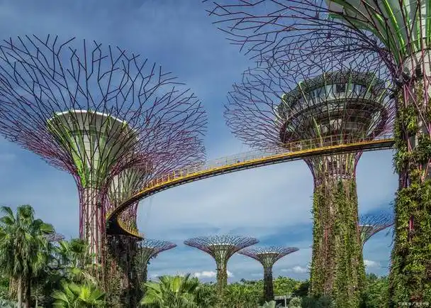 滨海湾花园:新加坡的绿色明珠