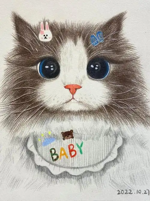 彩铅手绘猫咪布偶临摹练习