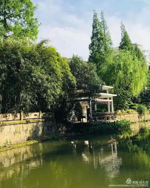 上海生活游兰溪青年公园