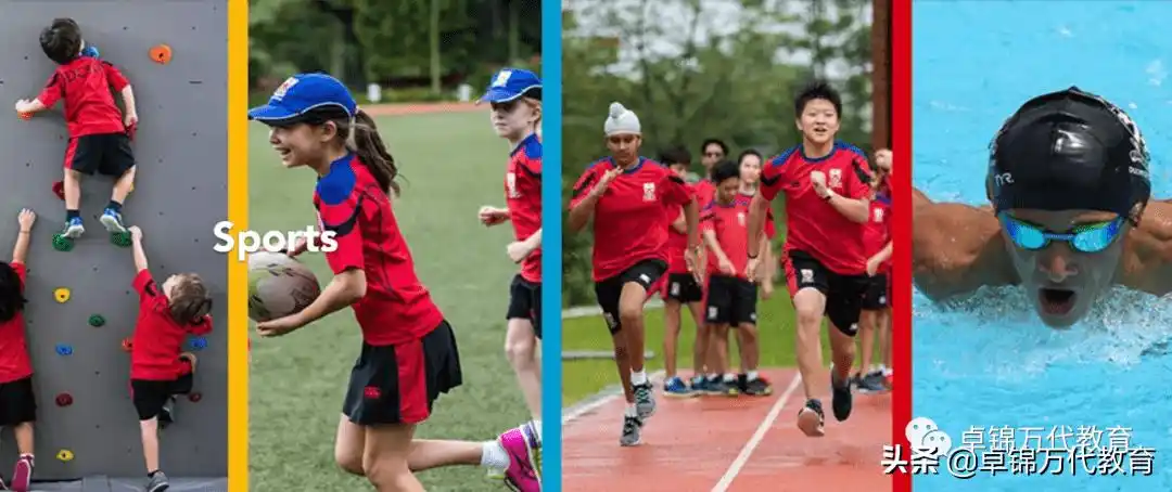 新加坡国际学校7德威国际学校