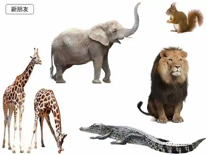 部编教材一下17动物王国开大会2018版ppt