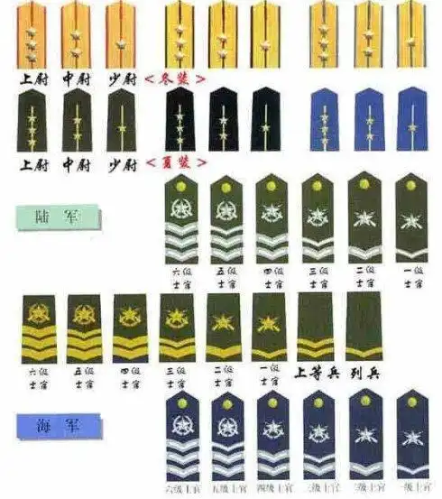 士官军衔的简笔画