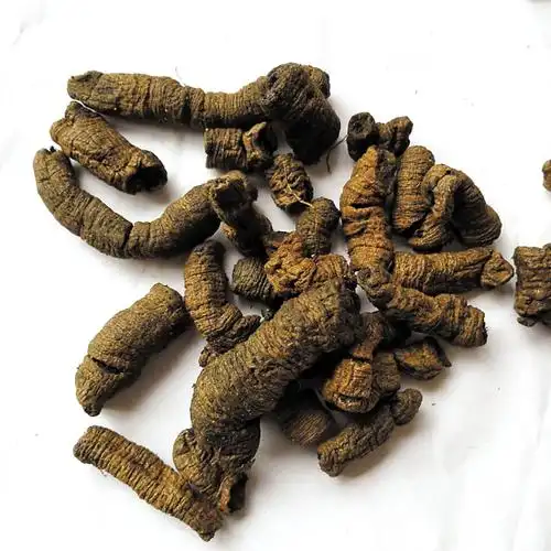 补肾壮阳,这些药材用起来