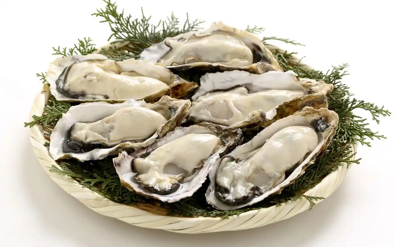 海鲜生蚝牡蛎图片,高清图片,电脑桌面-壁纸族