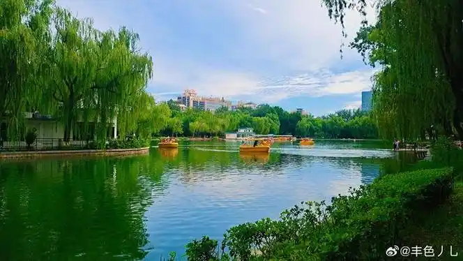 北京青年湖公园的夏 摄影__财经头条