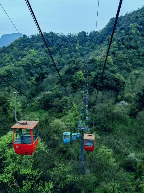 青城后山的索道太过瘾啦0607
