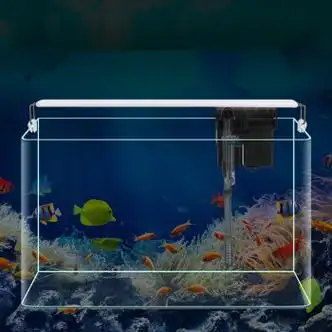 飞主流热弯玻璃鱼缸客厅小型水族箱桌面免换水金鱼斗鱼生态迷你鱼缸裸