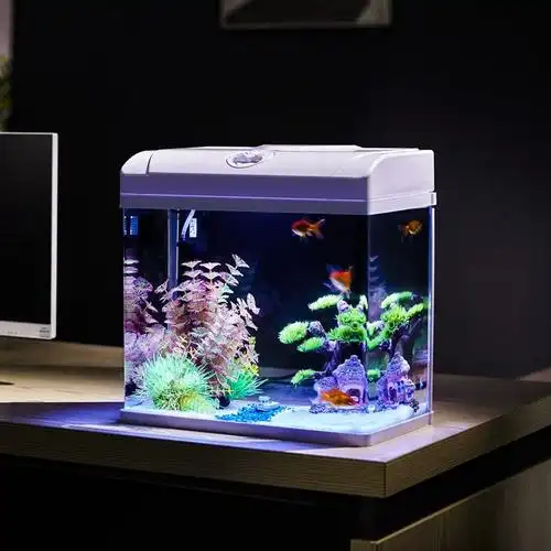 桌上迷你鱼缸2021新款客厅小型一体家用简约桌面缸