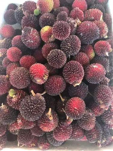 山荔枝,好吃