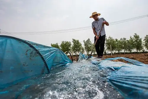 农业农村部:国家将加强粮食生产功能区农田基础设施建设