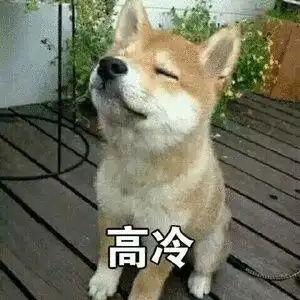 萌宠汪星人高冷傲娇搞怪gif动图_动态图_表情包下载_soogif