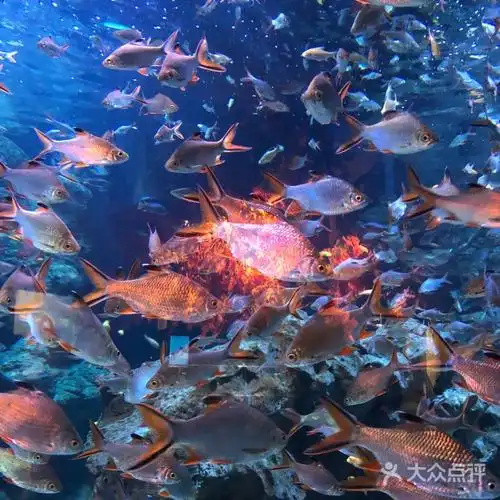 海滨城浩海立方海洋馆