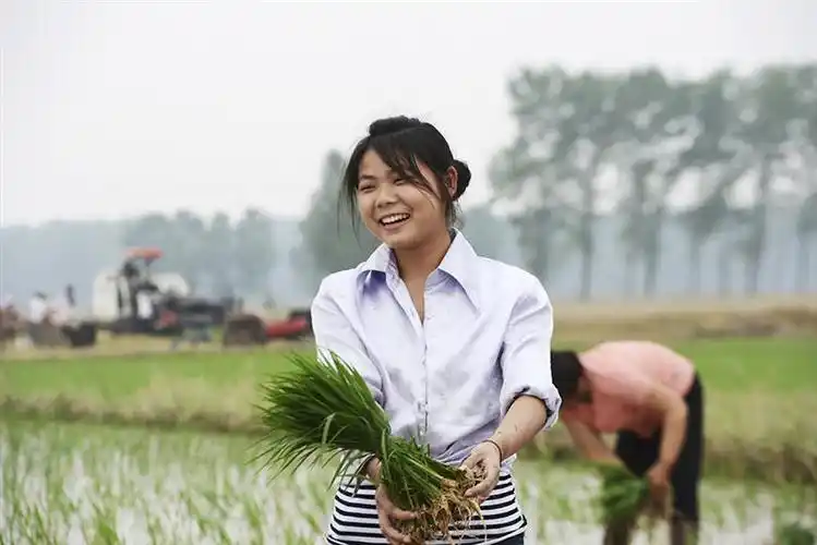 上一页 下一页 作品名称: 美女成了插秧风景  作品描述:   拍摄地点