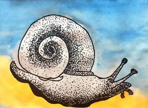 少儿书画作品-蜗牛/儿童书画作品蜗牛欣赏_中国少儿美术网