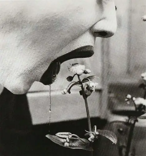 细江英公作品赏析 - 人像摄影 - cnu视觉联盟