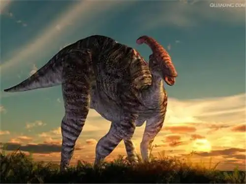 【福利】恐龙展倒计时,侏罗纪大门即将开启! 准备好了吗?