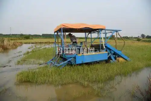 农民研发出国内首台荸荠采集机