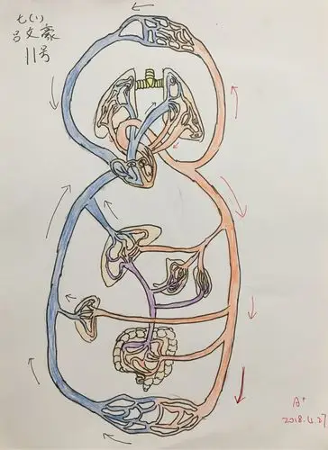 初一年《血液循环系统》优秀作业集 - 美篇