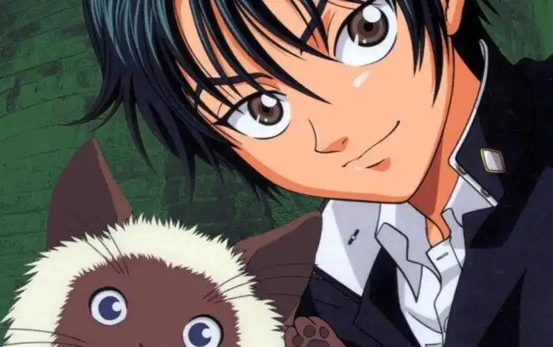 新网球王子risingbeat日服neverend越前龙马ex谱面