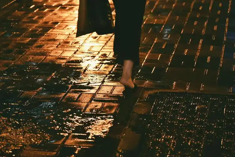 夜晚的雨中随拍