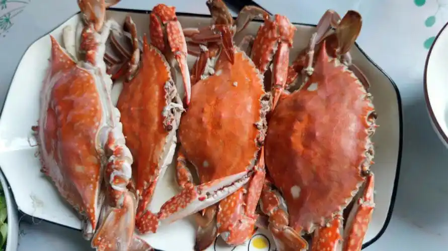 螃蟹是我的最爱你那梭子蟹多少钱一斤