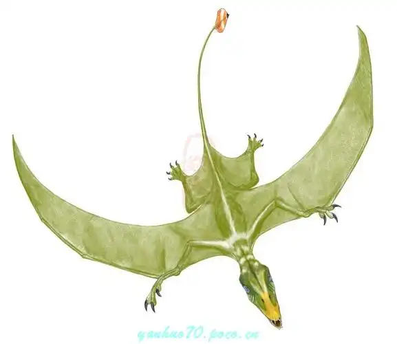 标题:恐龙园系列-翼手龙