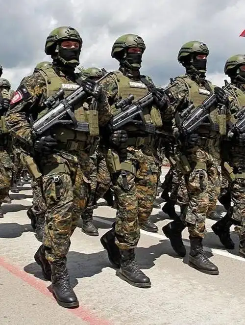 塞尔维亚军队已进入最高战备状态,军队向科索沃方向开拔