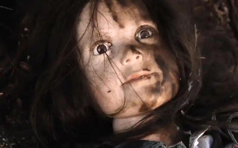 带回家里悉心照顾,不料娃娃复活恩将仇报《灵异娃娃》3