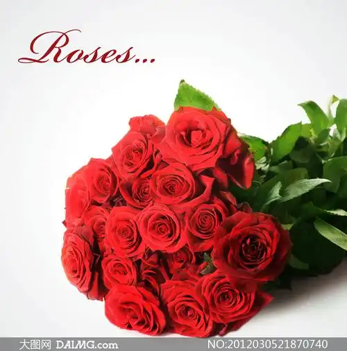 红色玫瑰花花束特写高清摄影图片_大图网图片素材